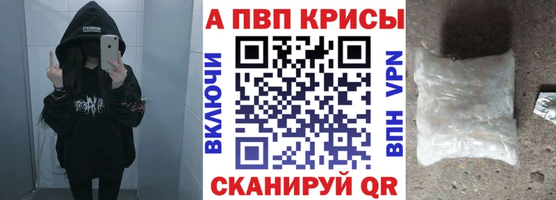 OMG ссылка Новокузнецк A PVP VHQ