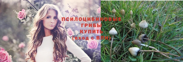 амф Абдулино