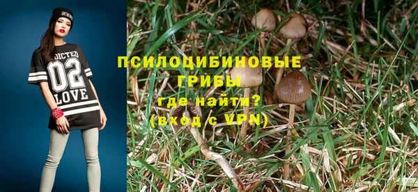 прущий лед Алексин