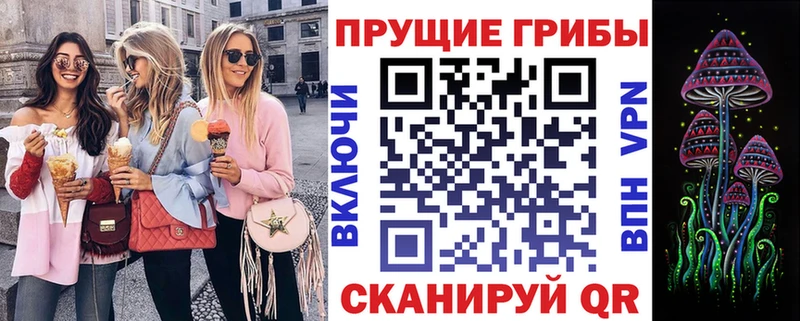 закладка  Новокузнецк  Галлюциногенные грибы Psilocybe 