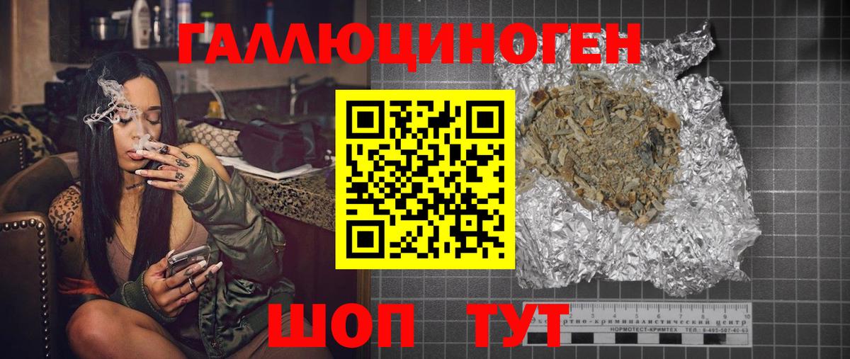 Псилоцибиновые грибы Psilocybe Новокузнецк