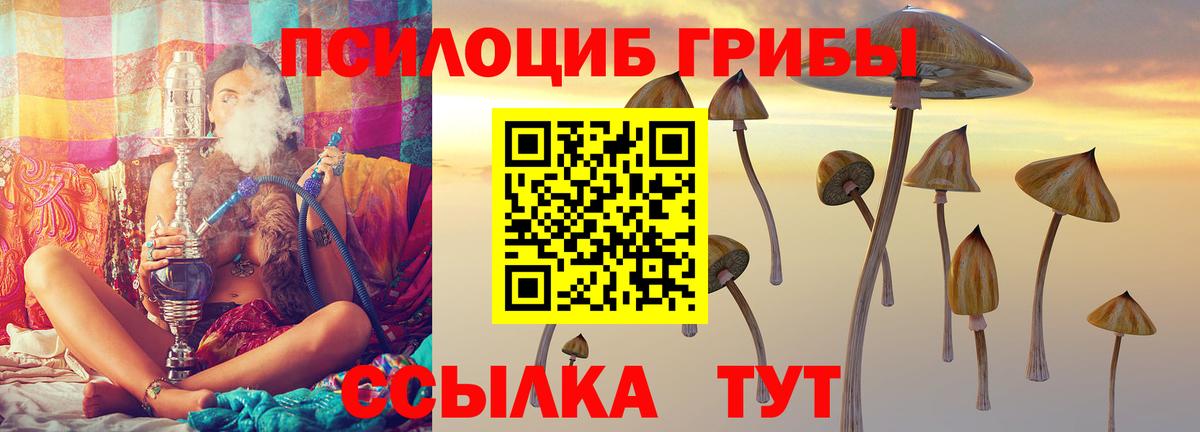 Новокузнецк  закладка  Вход с VPN  Галлюциногенные грибы Psilocybine cubensis 