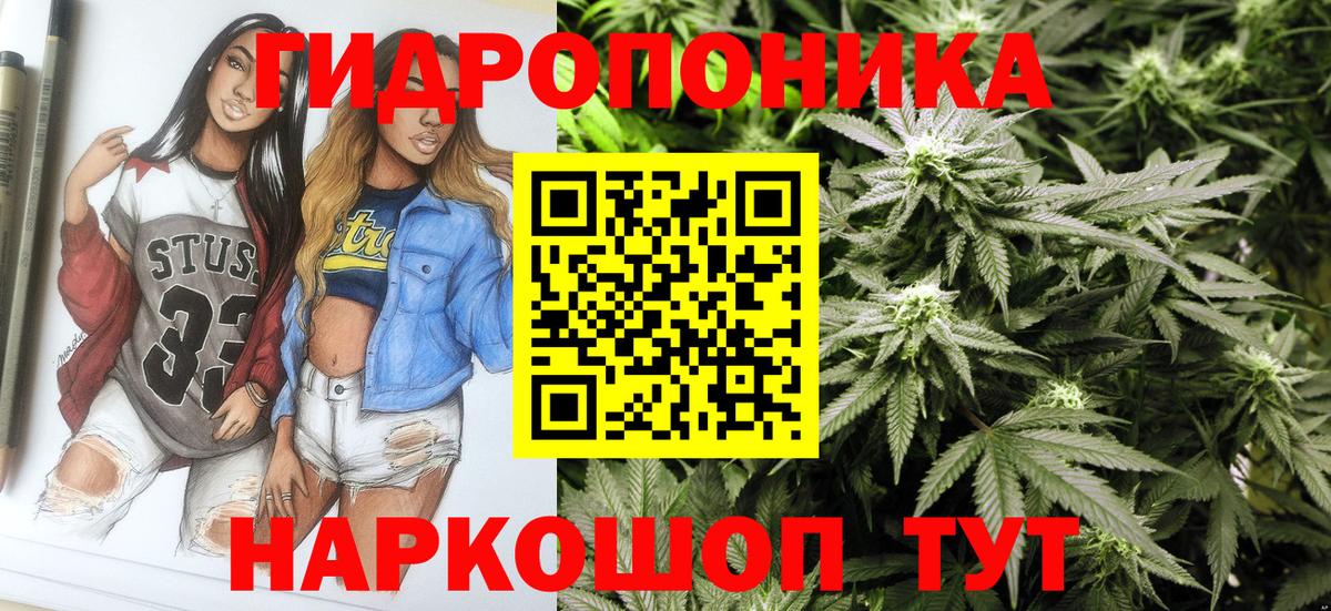 Бошки марихуана планчик  Конопля SATIVA & INDICA  Вход с VPN  Новокузнецк  Шишки марихуана Amnesia 
